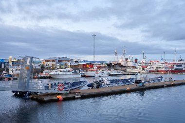 Reykjavik Limanı, İzlanda