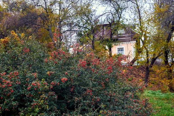 O Jardim Botânico Nacional Hryshko — Fotografia de Stock