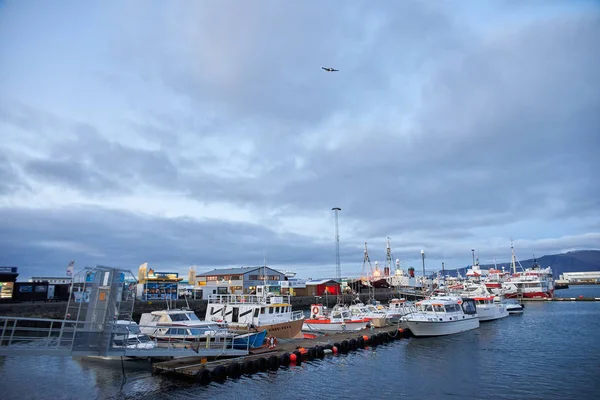Haven in Reykjavik — Stockfoto