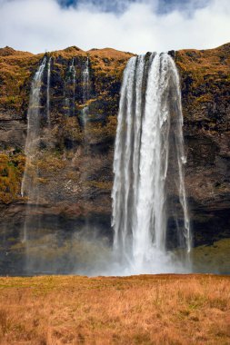 Güzel Seljalandsfoss şelale