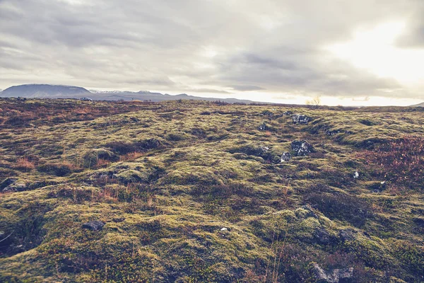 The Thingvellir National Park — стоковое фото