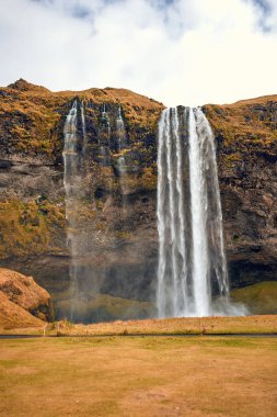 Güzel Seljalandsfoss şelale