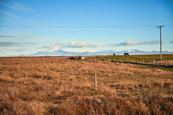 Paesaggio autunnale in Islanda — Foto Stock