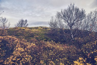 thingvellir Milli Parkı