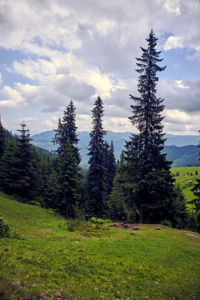 Die Karpaten oder Karpaten — Stockfoto