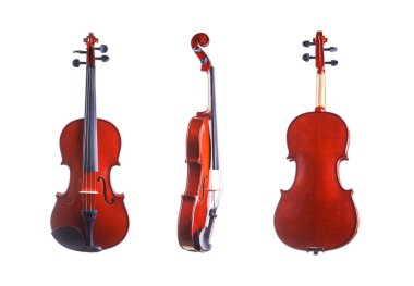 Beyaz arkaplanda keman