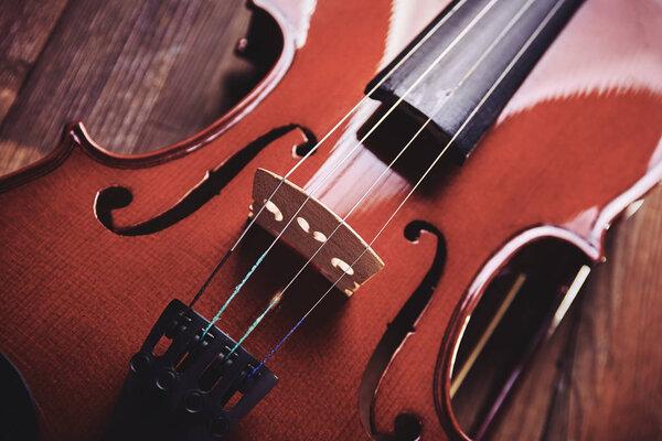 violin  on a wooden background