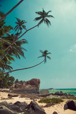 sri Lanka güzel manzara