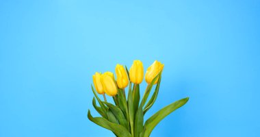 mavi bir lale buketi 