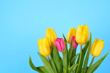 mavi bir lale buketi 