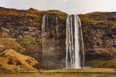 Güzel Seljalandsfoss şelale