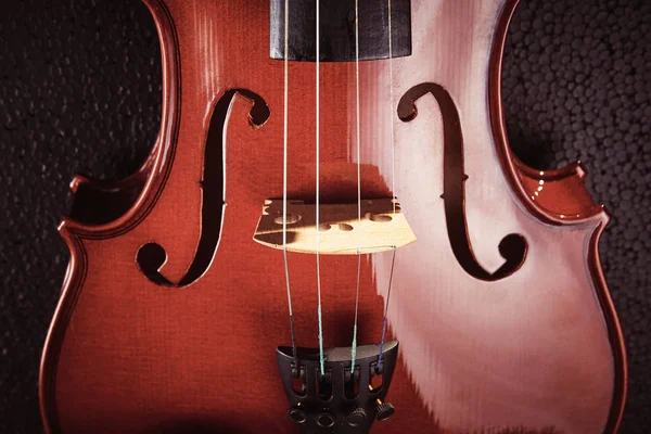Violin  on black background — Stock Photo, Image