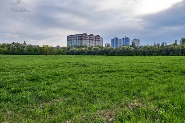 Residentiële huizen in de buurt van het Park — Stockfoto