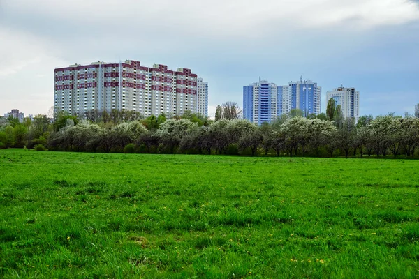 Case residenziali vicino al parco — Foto Stock