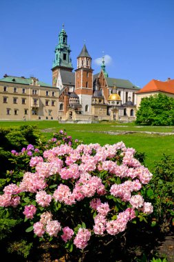 Görünüm wawel Kalesi