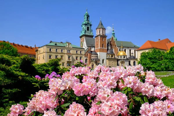 Görünüm wawel Kalesi