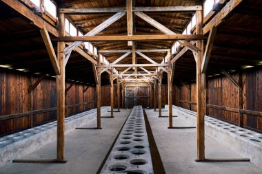 Auschwitz konsantrasyon kamerası