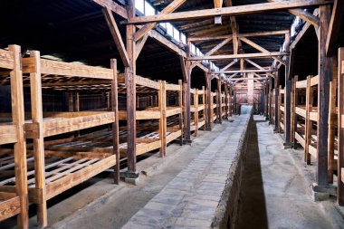 Auschwitz konsantrasyon kamerası