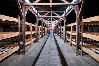 Auschwitz konsantrasyon kamerası