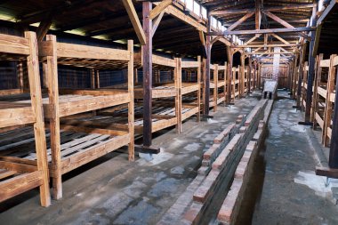 Auschwitz konsantrasyon kamerası