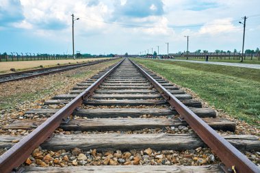 Auschwitz konsantrasyon kamerası