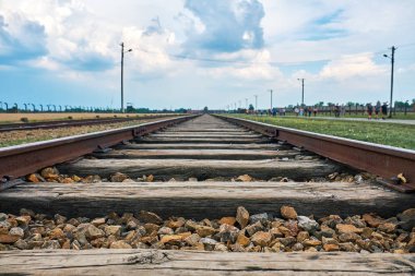 Auschwitz konsantrasyon kamerası
