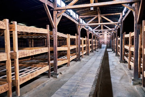 Auschwitz konsantrasyon kamerası