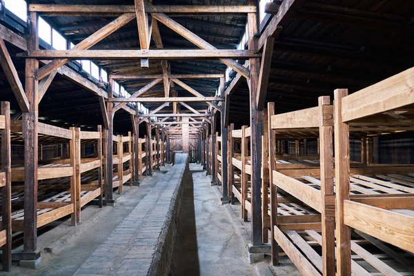 Auschwitz konsantrasyon kamerası