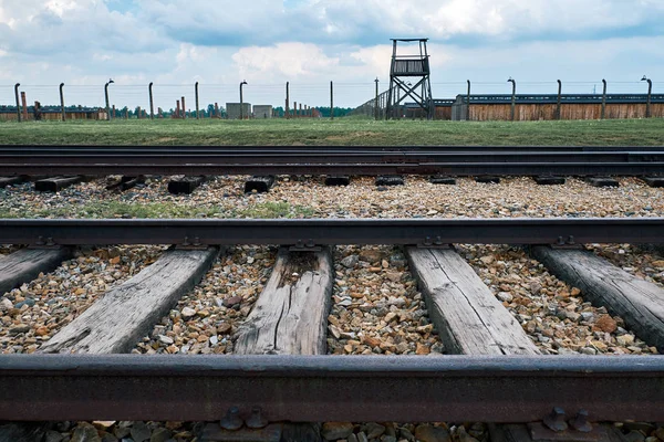 Auschwitz konsantrasyon kamerası