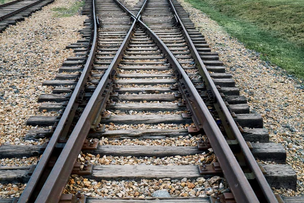 Auschwitz konsantrasyon kamerası