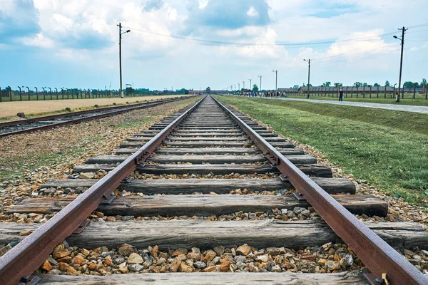 Auschwitz konsantrasyon kamerası