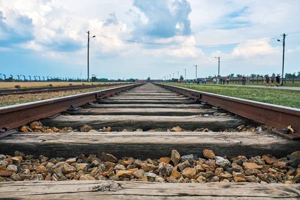 Auschwitz konsantrasyon kamerası