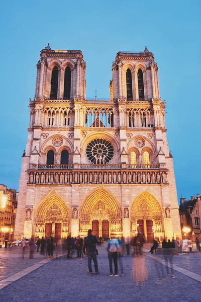 Notre-Dame de Paris — Fotografie, imagine de stoc