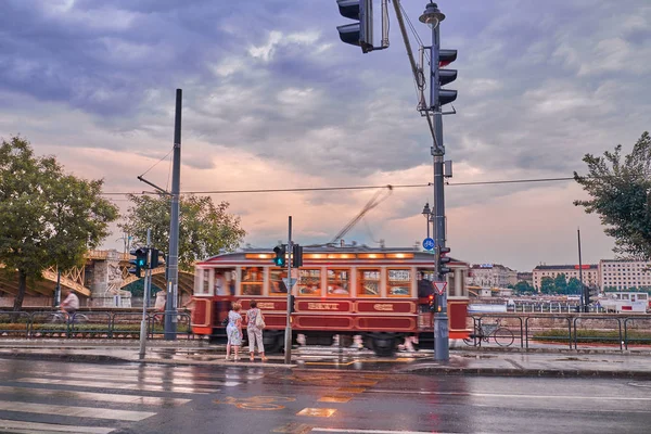 雨の中のブダペスト — ストック写真