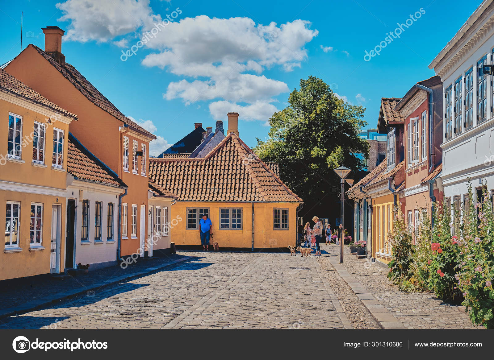 Beautiful Old Building In Odense Denmark Stock Photo By C Badahos