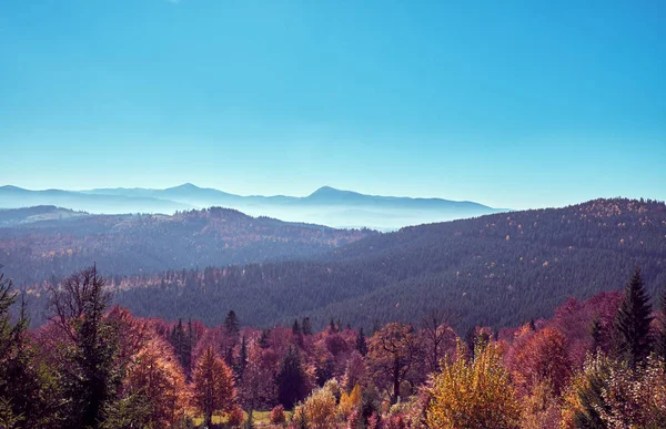 De Karpaten in de herfst — Stockfoto