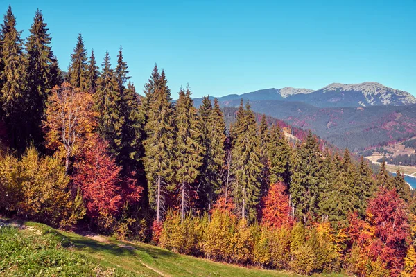 De Karpaten in de herfst — Stockfoto