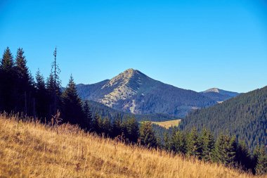 Sonbaharda Karpat Dağları