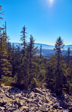 Sonbaharda Karpat Dağları