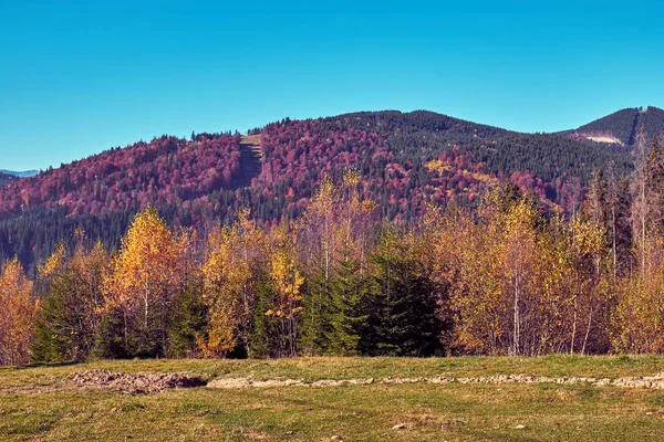 De Karpaten in de herfst — Stockfoto