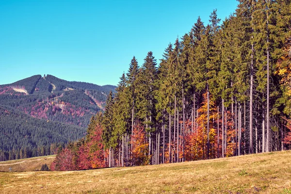 Die Karpaten im Herbst — Stockfoto
