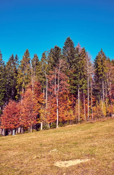 Karpatské hory na podzim — Stock fotografie