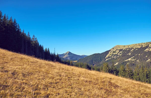 Karpaterna på hösten — Stockfoto