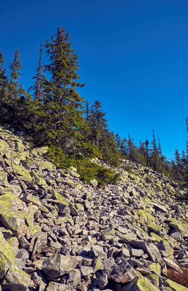 Paisaje de las Montañas Cárpatas en otoño — Foto de Stock