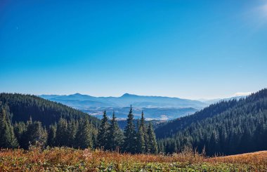 Sonbaharda Karpat Dağları Manzara