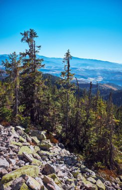 Karpat Dağları veya Karpatlar