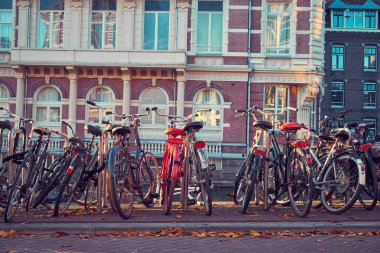 bir sürü Amsterdam'da Bisiklet