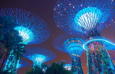 gece Körfez Singapur bahçeleri