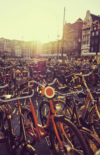 Un montón de bicicletas en Amsterdam — Foto de Stock