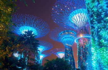 gece Körfez Singapur bahçeleri